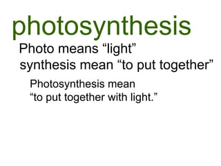 photosynthesis
Photo means “light”
synthesis mean “to put together”
 Photosynthesis mean
 “to put together with light.”
 