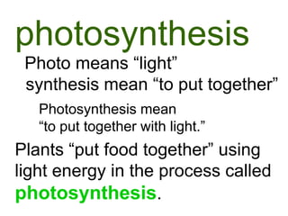 photosynthesis
 Photo means “light”
 synthesis mean “to put together”
   Photosynthesis mean
   “to put together with light.”
Plants “put food together” using
light energy in the process called
photosynthesis.
 
