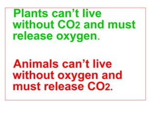 Plants can’t live
without CO2 and must
release oxygen.

Animals can’t live
without oxygen and
must release CO2.
 