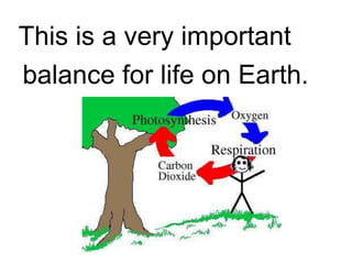 This is a very important
balance for life on Earth.
 