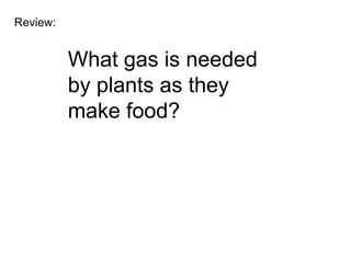 Review:


          What gas is needed
          by plants as they
          make food?
 