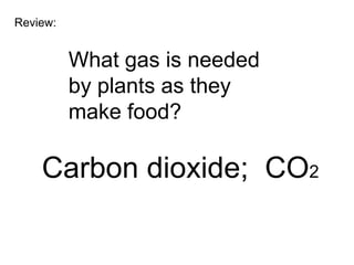 Review:


          What gas is needed
          by plants as they
          make food?

    Carbon dioxide; CO2
 