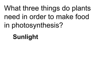 What three things do plants
need in order to make food
in photosynthesis?
  Sunlight
 