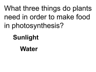 What three things do plants
need in order to make food
in photosynthesis?
  Sunlight
    Water
 