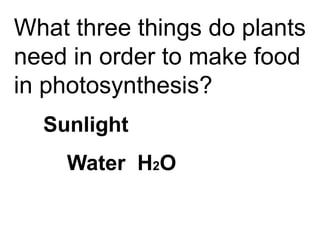 What three things do plants
need in order to make food
in photosynthesis?
  Sunlight
    Water H2O
 