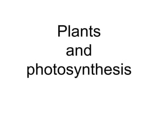 Plants
     and
photosynthesis
 