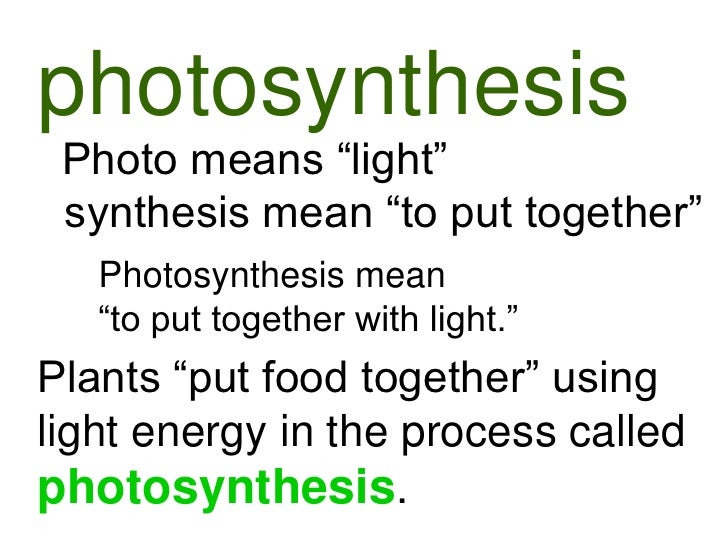 What does photosythesis mean