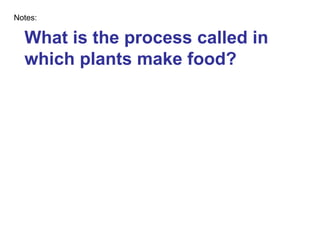 What is the process called in which plants make food? Notes: 
