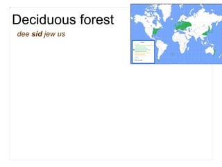 Deciduous forest dee  sid  jew us 