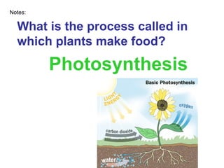 What is the process called in which plants make food? Photosynthesis Notes: 
