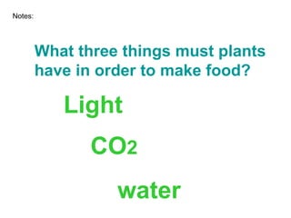 What three things must plants have in order to make food? Notes: Light CO 2 water 
