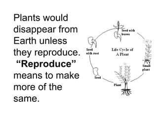 Plants would disappear from Earth unless they reproduce.  “Reproduce”  means to make more of the same. 