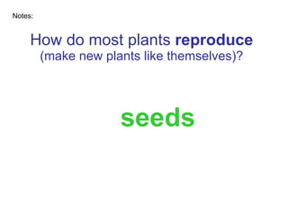 How do most plants  reproduce   (make new plants like themselves)? seeds Notes: 