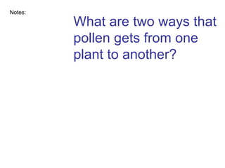 What are two ways that pollen gets from one plant to another? Notes: 