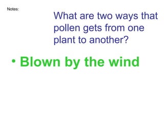 What are two ways that pollen gets from one plant to another? Notes: Blown by the wind Carried by animals 