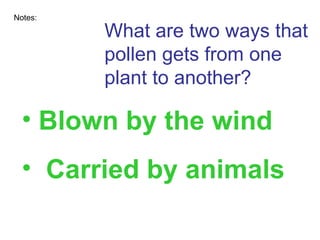 What are two ways that pollen gets from one plant to another? Notes: Blown by the wind Carried by animals 