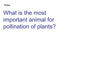 What is the most important animal for pollination of plants? Notes: 
