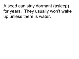 A seed can stay dormant (asleep) for years.  They usually won’t wake up unless there is water. 