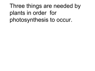 Three things are needed by plants in order  for photosynthesis to occur. 