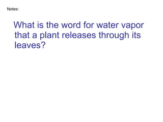What is the word for water vapor that a plant releases through its leaves? Notes: 