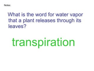 What is the word for water vapor that a plant releases through its leaves? Notes: transpiration 