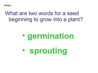 What are two words for a seed beginning to grow into a plant? Notes: germination sprouting 