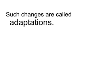 Such changes are called  adaptations. 