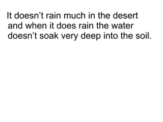 It doesn’t rain much in the desert and when it does rain the water doesn’t soak very deep into the soil. 
