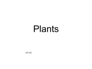 Plants LS4 3.08 