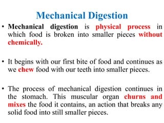 Mechanical Digestion
• Mechanical digestion is physical process in
which food is broken into smaller pieces without
chemically.
• It begins with our first bite of food and continues as
we chew food with our teeth into smaller pieces.
• The process of mechanical digestion continues in
the stomach. This muscular organ churns and
mixes the food it contains, an action that breaks any
solid food into still smaller pieces.
 