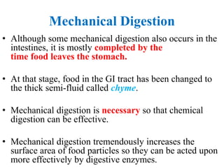 Mechanical Digestion
• Although some mechanical digestion also occurs in the
intestines, it is mostly completed by the
time food leaves the stomach.
• At that stage, food in the GI tract has been changed to
the thick semi-fluid called chyme.
• Mechanical digestion is necessary so that chemical
digestion can be effective.
• Mechanical digestion tremendously increases the
surface area of food particles so they can be acted upon
more effectively by digestive enzymes.
 