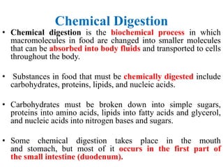 Chemical Digestion
• Chemical digestion is the biochemical process in which
macromolecules in food are changed into smaller molecules
that can be absorbed into body fluids and transported to cells
throughout the body.
• Substances in food that must be chemically digested include
carbohydrates, proteins, lipids, and nucleic acids.
• Carbohydrates must be broken down into simple sugars,
proteins into amino acids, lipids into fatty acids and glycerol,
and nucleic acids into nitrogen bases and sugars.
• Some chemical digestion takes place in the mouth
and stomach, but most of it occurs in the first part of
the small intestine (duodenum).
 