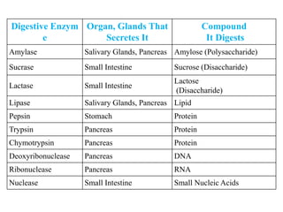Digestive Enzym
e
Organ, Glands That
Secretes It
Compound
It Digests
Amylase Salivary Glands, Pancreas Amylose (Polysaccharide)
Sucrase Small Intestine Sucrose (Disaccharide)
Lactase Small Intestine
Lactose
(Disaccharide)
Lipase Salivary Glands, Pancreas Lipid
Pepsin Stomach Protein
Trypsin Pancreas Protein
Chymotrypsin Pancreas Protein
Deoxyribonuclease Pancreas DNA
Ribonuclease Pancreas RNA
Nuclease Small Intestine Small Nucleic Acids
 