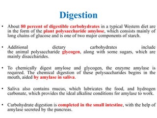 Digestion
• About 80 percent of digestible carbohydrates in a typical Western diet are
in the form of the plant polysaccharide amylose, which consists mainly of
long chains of glucose and is one of two major components of starch.
• Additional dietary carbohydrates include
the animal polysaccharide glycogen, along with some sugars, which are
mainly disaccharides.
• To chemically digest amylose and glycogen, the enzyme amylase is
required. The chemical digestion of these polysaccharides begins in the
mouth, aided by amylase in saliva.
• Saliva also contains mucus, which lubricates the food, and hydrogen
carbonate, which provides the ideal alkaline conditions for amylase to work.
• Carbohydrate digestion is completed in the small intestine, with the help of
amylase secreted by the pancreas.
 