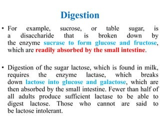 Digestion
• For example, sucrose, or table sugar, is
a disaccharide that is broken down by
the enzyme sucrase to form glucose and fructose,
which are readily absorbed by the small intestine.
• Digestion of the sugar lactose, which is found in milk,
requires the enzyme lactase, which breaks
down lactose into glucose and galactose, which are
then absorbed by the small intestine. Fewer than half of
all adults produce sufficient lactase to be able to
digest lactose. Those who cannot are said to
be lactose intolerant.
 