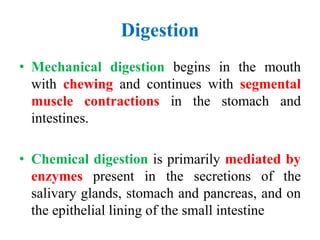 Digestion
• Mechanical digestion begins in the mouth
with chewing and continues with segmental
muscle contractions in the stomach and
intestines.
• Chemical digestion is primarily mediated by
enzymes present in the secretions of the
salivary glands, stomach and pancreas, and on
the epithelial lining of the small intestine
 