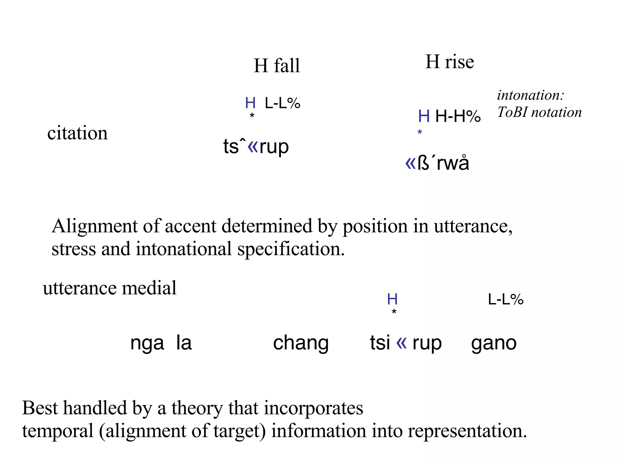     H   L-L%     * nga  la  chang  tsi   «   rup  gano H  L-L% * tsˆ « rup citation utterance medial H  H-H%   * « ß´rwå H fall H rise Alignment of accent determined by position in utterance,  stress and intonational specification. intonation: ToBI notation Best handled by a theory that incorporates  temporal (alignment of target) information into representation. 