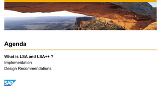 Agenda 
What is LSA and LSA++ ? 
Implementation 
Design Recommendations 
 
