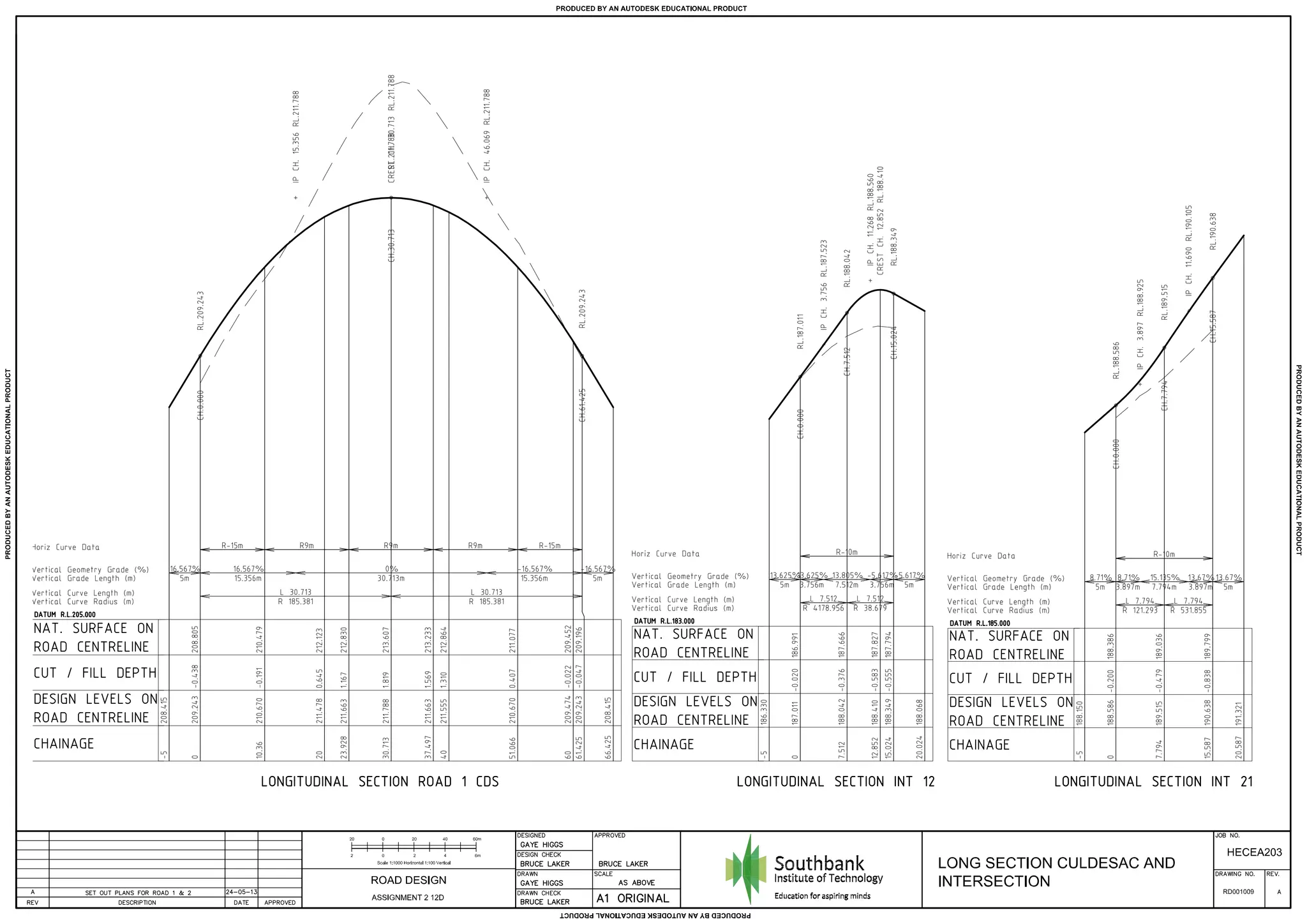 12D assignment road design culdesac long (1) PPT