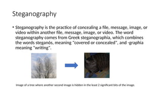 Image Encryption and Decryption Using LSB Steganography Algorithm for ...