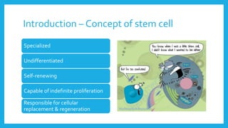 Introduction – Concept of stem cell
Specialized
Undifferentiated
Self-renewing
Capable of indefinite proliferation
Responsible for cellular
replacement & regeneration
 