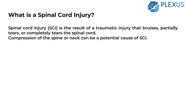 An Overview of Lumbar Spinal Cord Injury | PPT