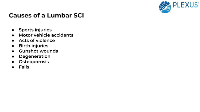 An Overview of Lumbar Spinal Cord Injury | PPT