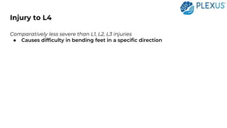 Less Injuries An Overview of Lumbar Spinal Cord Injury | PPTX