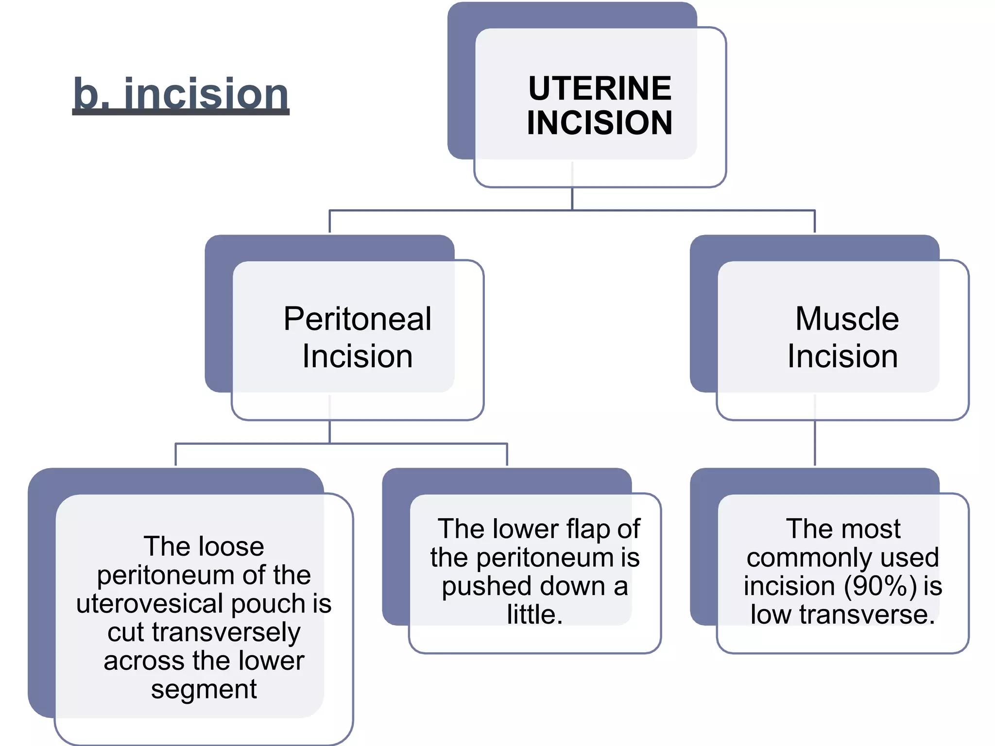 b. incision UTERINE
INCISION
Peritoneal
Incision
The loose
peritoneum of the
uterovesical pouch is
cut transversely
across the lower
segment
The lower flap of
the peritoneum is
pushed down a
little.
Muscle
Incision
The most
commonly used
incision (90%) is
low transverse.
 