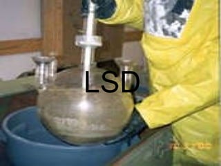 LSD 
