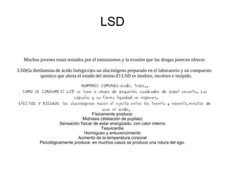 LSD Muchos jovenes estan tentados por el entusiasmos y la evasión que las drogas parecen ofrecer.  LSD(la dietilamina de ácido lisérgico)es un alucinógeno preparado en el laboratorio y un compuesto quimico que alerta el estado del ánimo.El LSD es inodoro, incoloro e insípido. NOMBRES COMUNES:ácido, tripis.. COMO SE CONSUME:El LSD se lame o chupa de pequeños cuadrados de papel secante. Las cápsulas y su forma líquidad se ingieren. EfECTOS Y RIESGOS: los alucinógenos hacen el ejecto entre los treinta y noventa,minutos de usar el ácido. Físicamente produce: Midriasis (dilatación de pupilas) Sensación físicar de estar energizado, con calor interno Taquicardia Hormigueo y entuvencimiento Aumento de la temperatura corporal Psicológicamente produce: en muchos casos se produce una rotura del ego. 