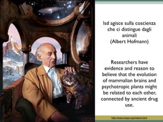 Lsd | PDF