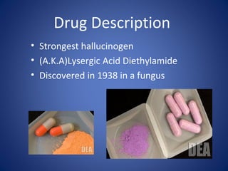 Drug Description
• Strongest hallucinogen
• (A.K.A)Lysergic Acid Diethylamide
• Discovered in 1938 in a fungus