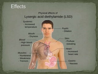 LSD | PPTX